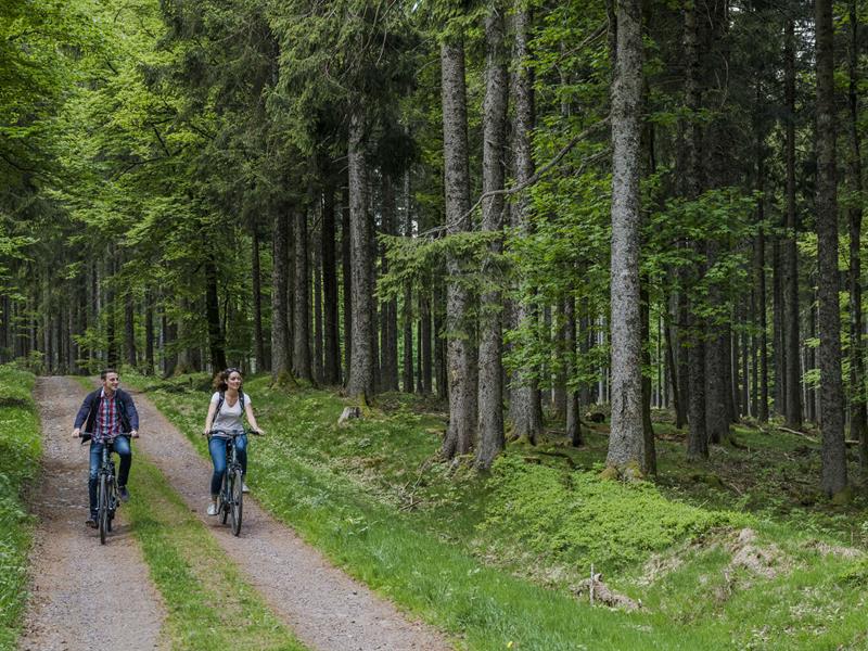 Circuit VTT C19 De la croix du Jacques à la Drille Wisches Grand Est