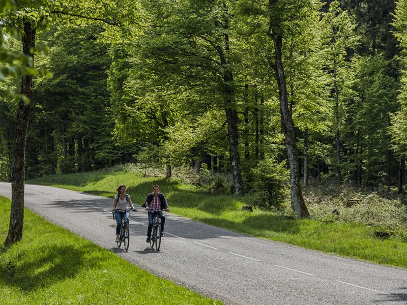 Circuit vélo route C03 De Schirmeck au lac de Pierre-Percée via la vallée de la Plaine Schirmeck Grand Est