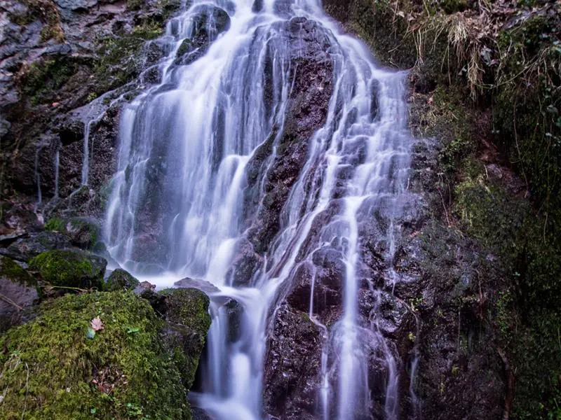 Circuit la Cascade du Siehlbaechle Wattwiller Grand Est