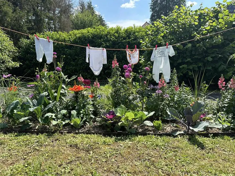 LA BALADE DES JARDINS HEUREUX Rémelfing Grand Est