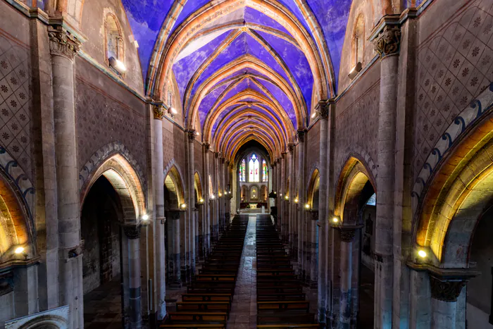 Visite de l'orgue de l'Abbatiale Notre-Dame Abbatiale Notre-Dame Belleville-en-Beaujolais