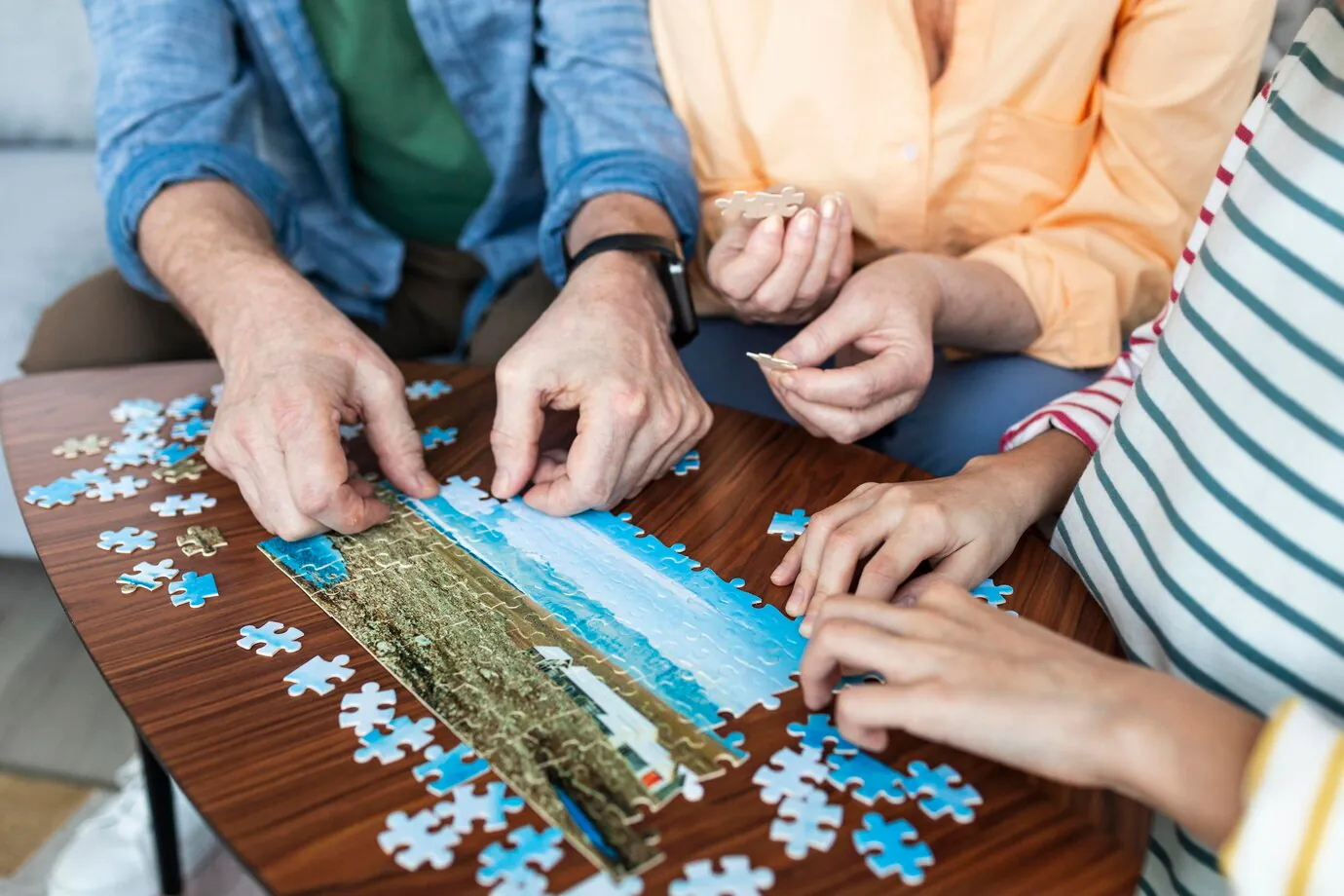 JOUONS EN BIBLIOTHÈQUE DÉFI PUZZLES