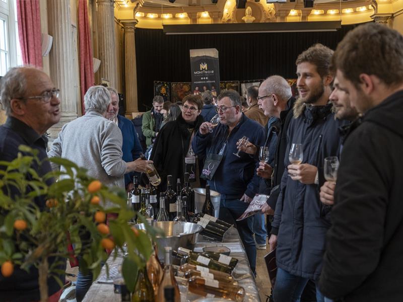 IN VINO VISITAS SALON DU VIN