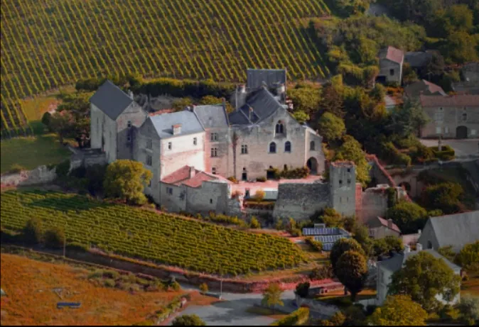 Journées Européennes du Patrimoine La Forteresse de Berrye et son vignoble