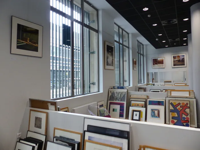 Découverte de l’artothèque Bibliothèque d'étude et du patrimoine Grenoble