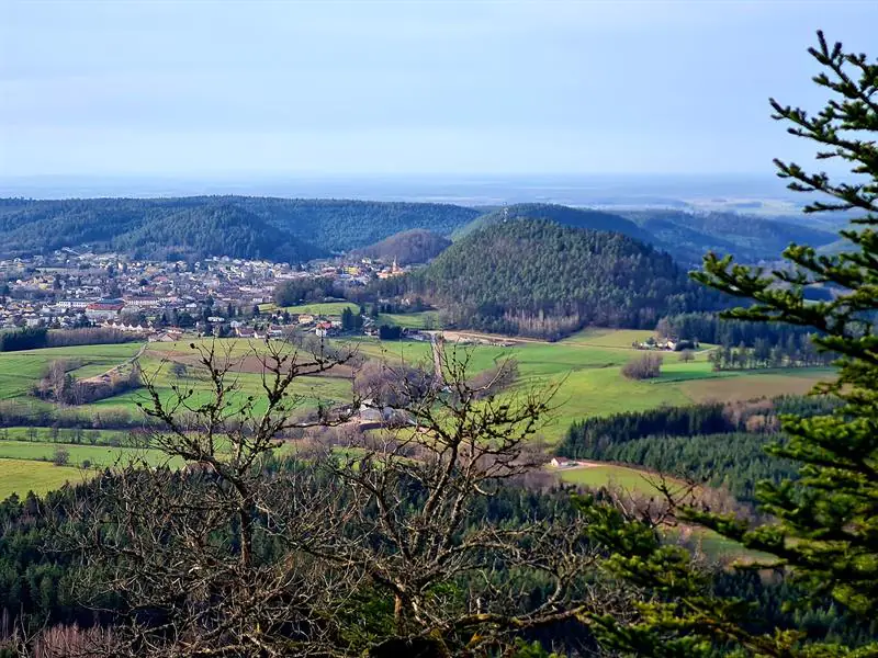 JOURNÉES DU PATRIMOINE BALADE SUR LES ARBRES REMARQUABLES DANS LE MASSIF DE L'AVISON