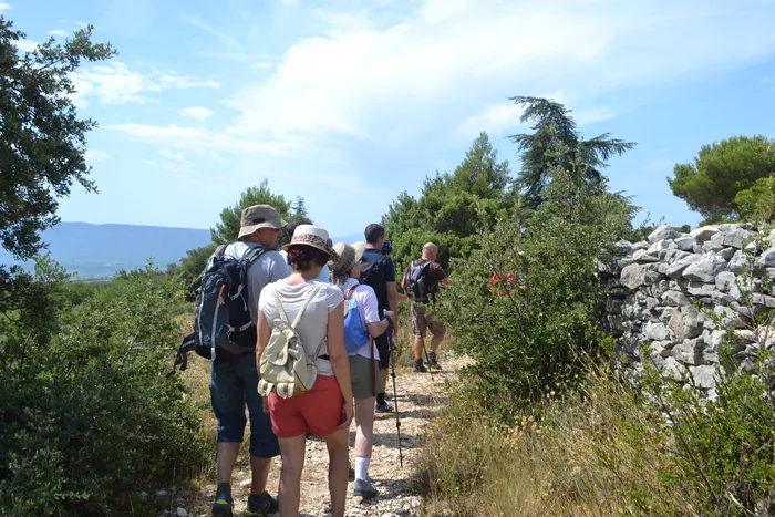 Sur les traces du Mur de la Peste Cabrières d'Avignon Cabrières-d'Avignon