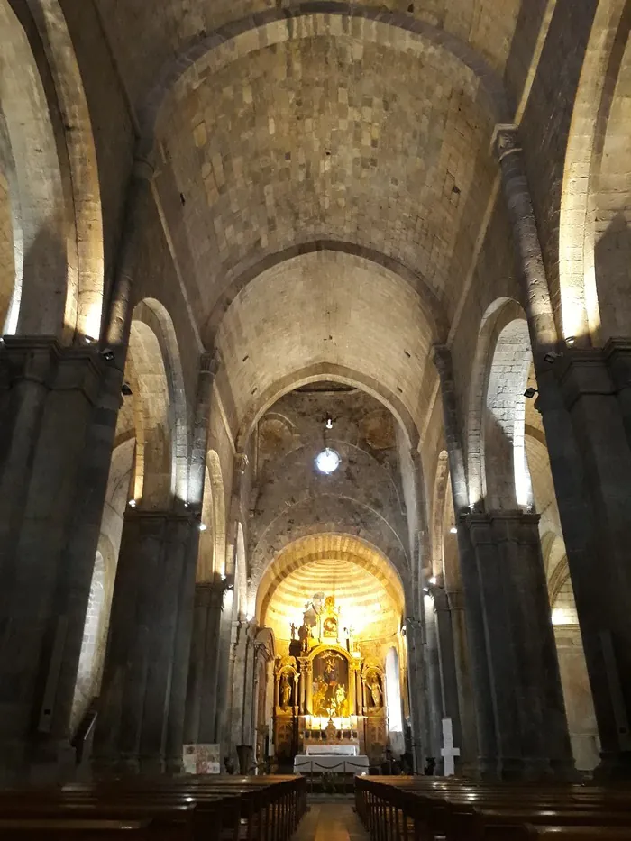 Visite guidée de la cathédrale Cathédrale Notre-Dame et Saint-Thyrse Sisteron