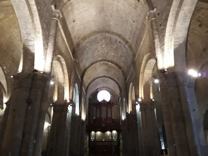 Visite libre de la cathédrale Cathédrale Notre-Dame et Saint-Thyrse Sisteron