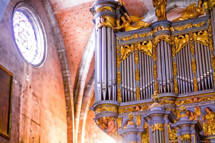 Découverte de l’orgue de la cathédrale Cathédrale Sainte-Marie et cloître Bayonne