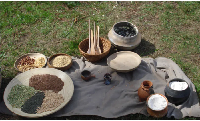 Atelier cuisiner au Néolithique : confection de galettes Centre d'interprétation archéologique virtuel Vorgium Carhaix-Plouguer