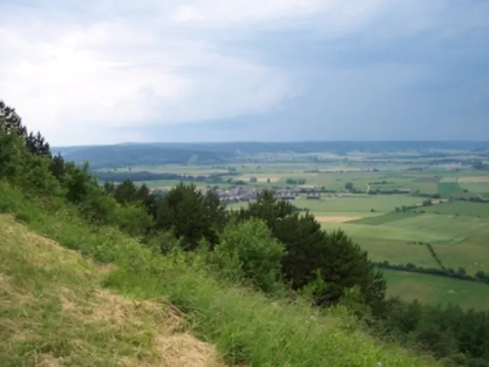 Levez les yeux ! Le patrimoine naturel et la biodiversité des côtes de Meuse Centre Permanent d'Initiative pour l'Environnement Bonzée