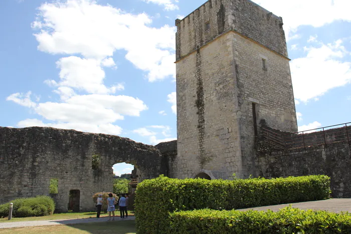 Visite commentée de la plus ancienne bastide du Béarn et de son château Château de Bellocq Bellocq