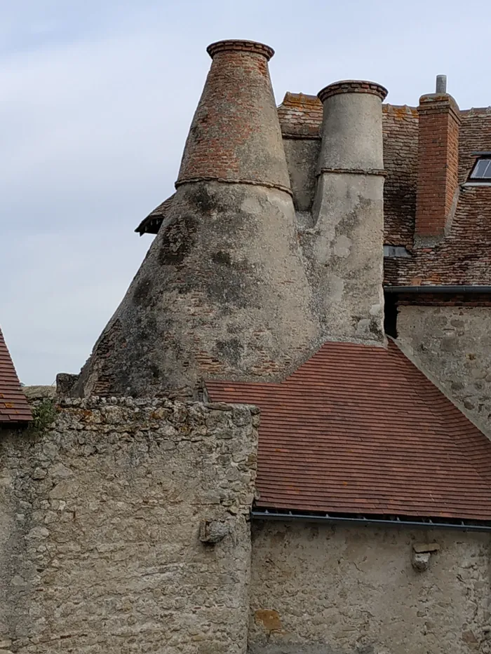 Visite guidée du château de Montfan Chateau de Montan Louchy-Montfand