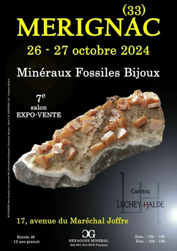 7e SALON MINERAUX FOSSILES BIJOUX de MERIGNAC (Gironde) Château Luchey-Halde Mérignac