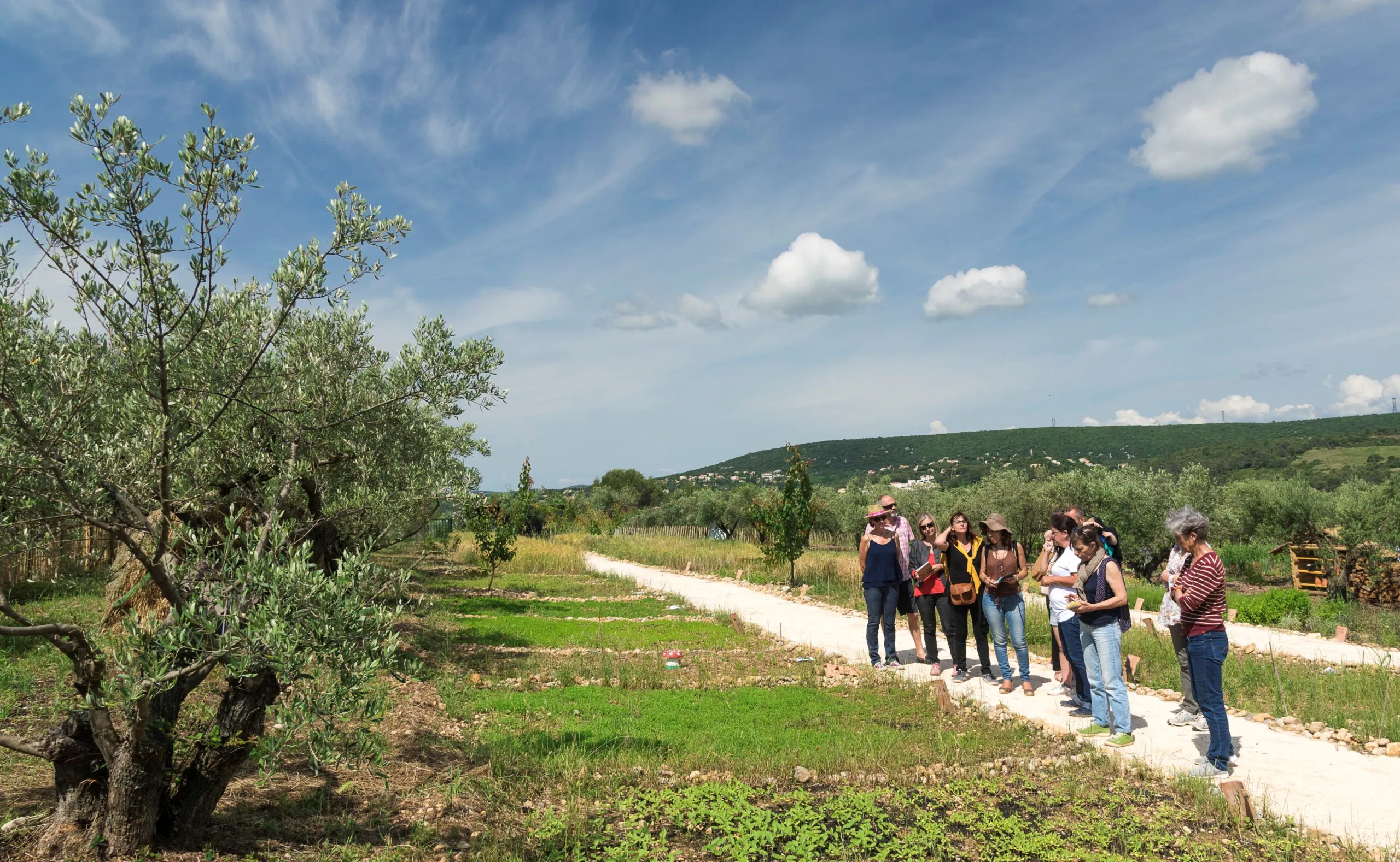 VISITE GOURMANDE SUR LES CHEMINS DE L'OR DE MON GRAND-PÈRE [FWE]