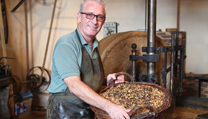 Démonstrations de pressées d'huile de noix dans l’ancienne huilerie familiale Mazoyer Domaine de Champgrenon Charnay-lès-Mâcon