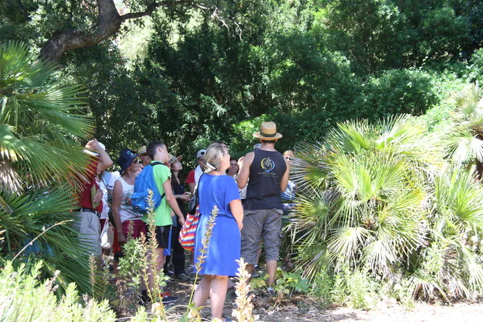 Visites guidées introductives du Jardin Domaine du Rayol