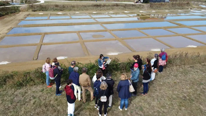 Visite commentée du marais salant Écomusée du port des Salines Le Grand-Village-Plage