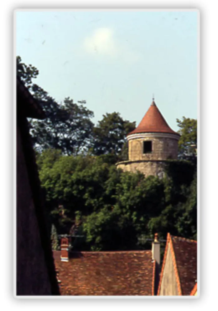 Visite guidée de la tour du Paradis à Poligny Église des Jacobins Poligny