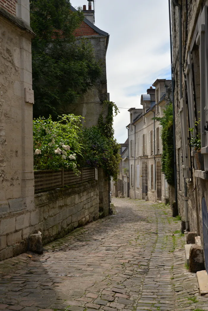 Hôtel Particulier Hôtel particulier Senlis