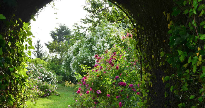 Visite du jardin de Taulhac Jardin de Taulhac Le Puy-en-Velay