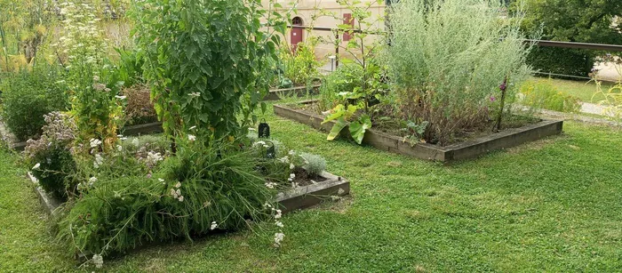 Visite guidée d'un jardin d'inspiration médiévale