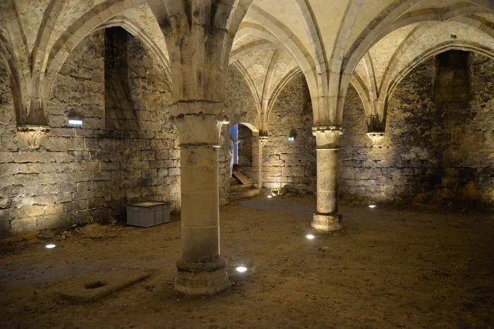 Caves du musée de la Vénerie Jardin du Château Royal Senlis