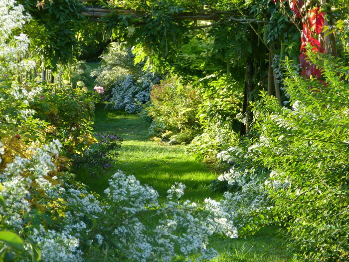 Visite de la roseraie du manoir de Val en Sel Jardin du manoir de Val en Sel Saint-Père