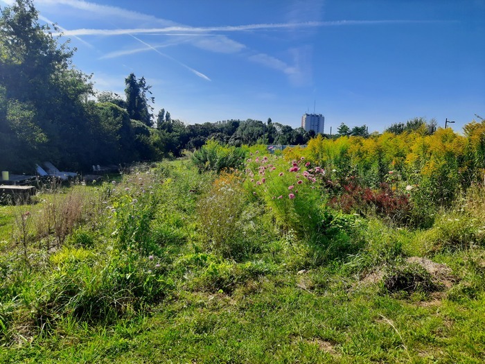 Journées du Matrimoine - Visite ferme florale Journées du Matrimoine - Visite ferme florale Montreuil