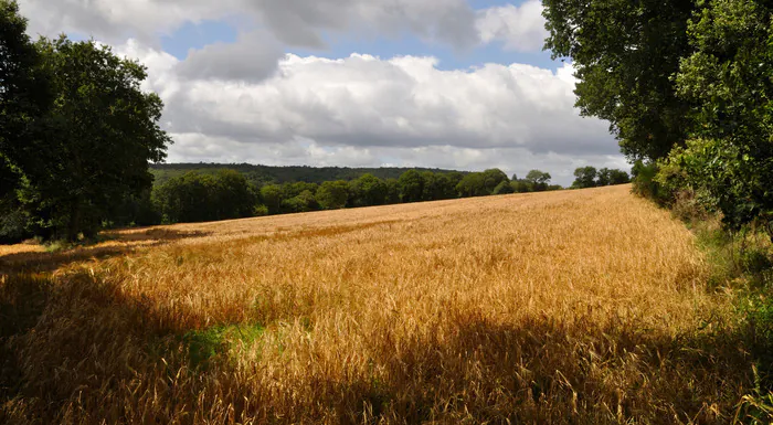 La biodiversité dans nos campagnes MJC Pacé - Espace Le Goffic Pacé