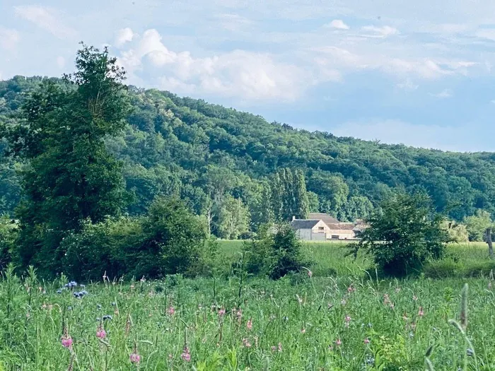 Visite guidée « Architecture historique en milieu rural » La ferme de La Fontaine du Dy Moret-Loing-et-Orvanne