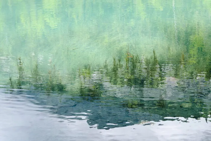 Exposition de photographies "Auprès de mon lac..." de Giandra de Castro Lac Vert Passy