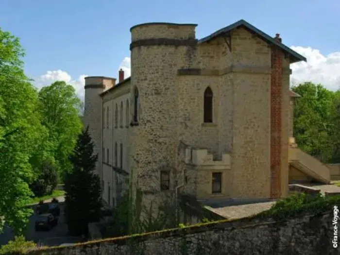 Découvrez le patrimoine naturel de Beauvallon Mairie de Beauvallon Beauvallon