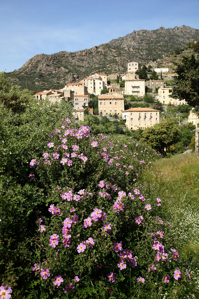 Parcours dans le village « Da una casa all’altra