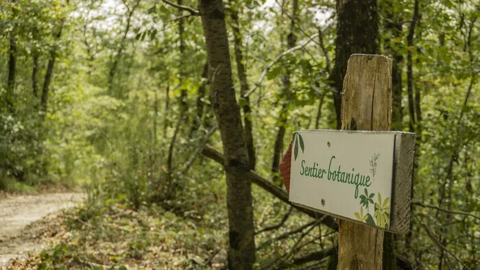 Arpentez le sentier botanique de Mauressac Mairie de Mauressac Mauressac