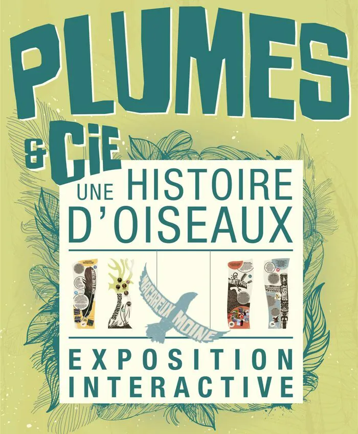 Exposition "Plumes et Cie" Médiathèque L'atelier Plouescat