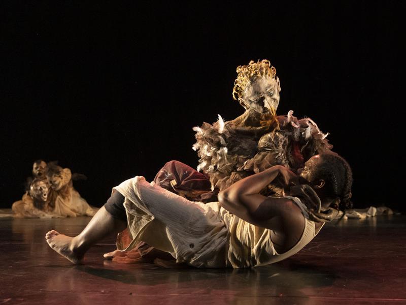 SPECTACLE LA LANGUE DES CYGNES