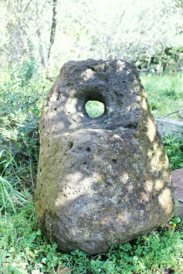 Randonnée découverte de l’Oppidum musée archéologique Bottin-Layet Ollioules