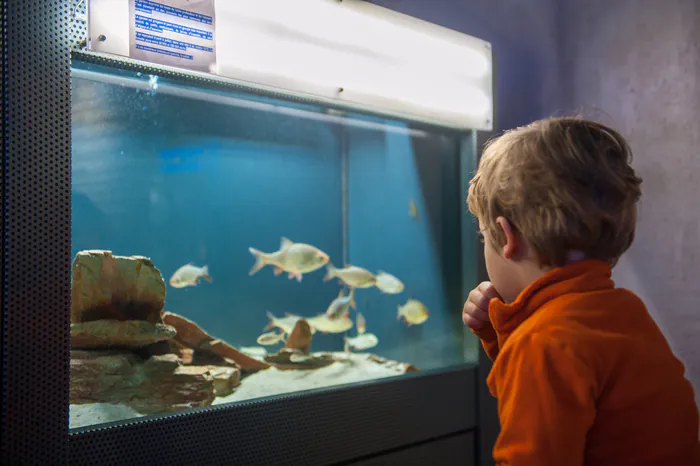 Visite famille de l’espace environnement du lac d’Annecy Musée-château d'Annecy Annecy