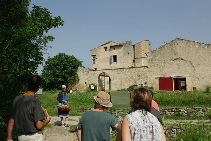 Visite guidée "Madame Calixte et son jardin" Musée de Salagon Mane