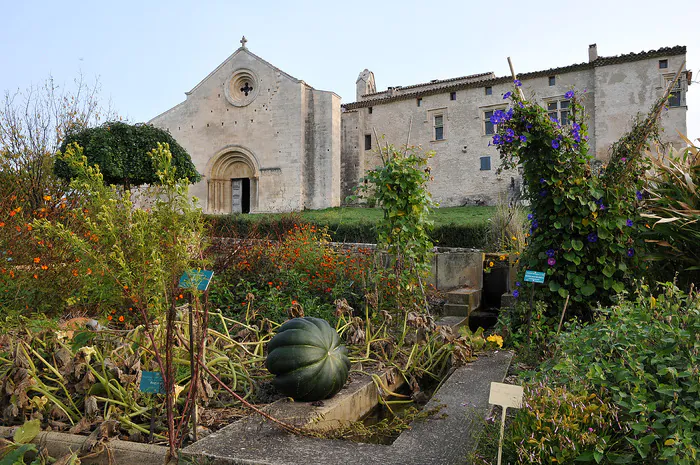 Visite guidée "Voyage des plantes" Musée de Salagon Mane