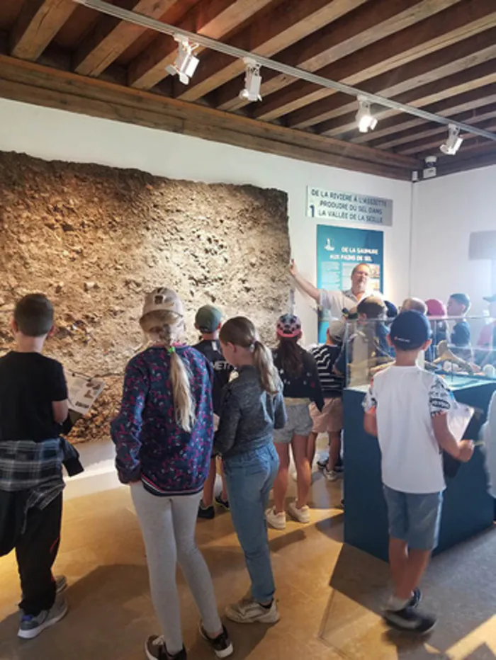 Levez les yeux ! Voyage au cœur des collections du musée Musée Départemental du Sel / Porte de France Marsal