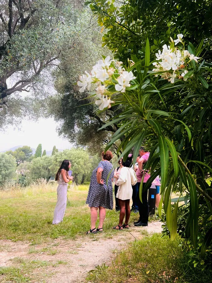 Visites guidées musée Renoir Musée Renoir Cagnes-sur-Mer