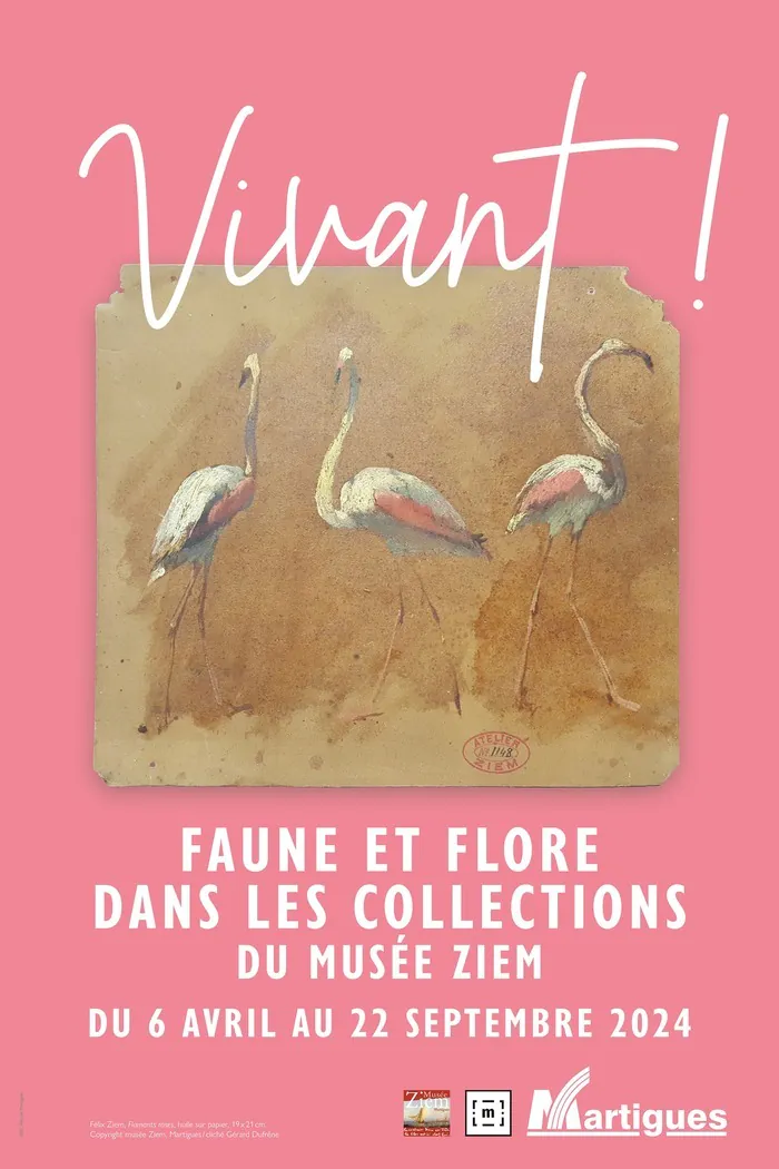 "Vivant ! Faune & flore" Musée Ziem Martigues