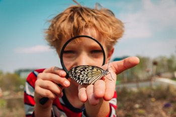 Ateliers 7-10 ans : L'effet "papillons" Muséum d'Histoire Naturelle