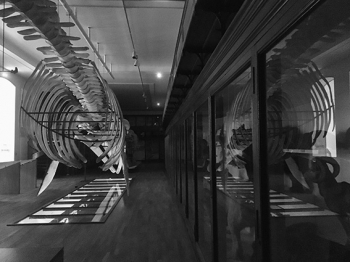 Déambulation nocturne dans le Muséum d'aujourd'hui et de demain Muséum d'Histoire Naturelle