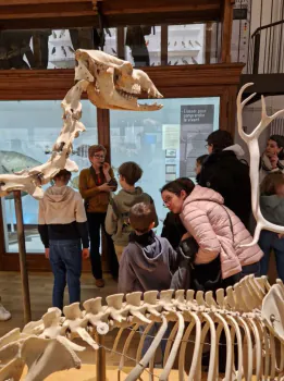 7-10 ans : Visite animée en famille Muséum d'Histoire Naturelle