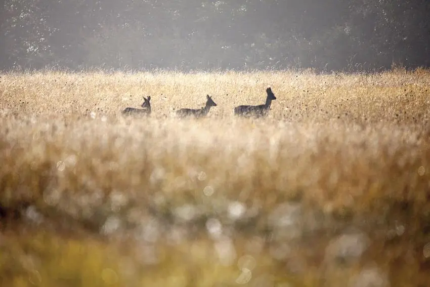 EXPOSITION COLLECTIVE DE PHOTOGRAPHIES EXPRIME TA NATURE ! DE CLAUDE DAVIGNON