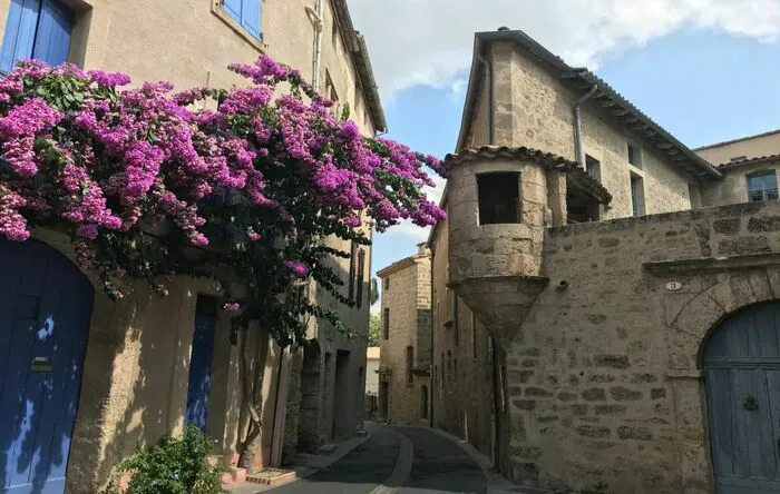 Visite guidée de Pézenas